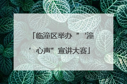 临潼区举办“‘潼’心声”宣讲大赛