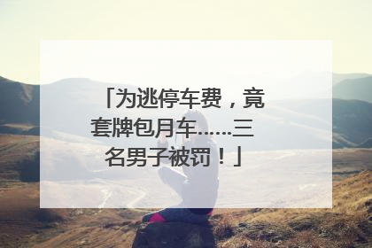 为逃停车费，竟套牌包月车……三名男子被罚！