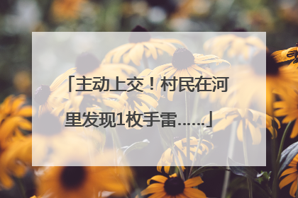 主动上交！村民在河里发现1枚手雷……