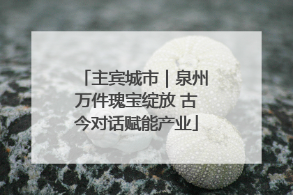 主宾城市｜泉州万件瑰宝绽放 古今对话赋能产业