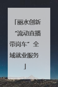 丽水创新“流动直播带岗车”全域就业服务