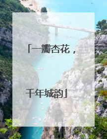 一瓣杏花，千年城韵