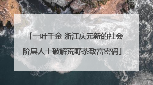 一叶千金 浙江庆元新的社会阶层人士破解荒野茶致富密码