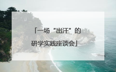 一场“出汗”的研学实践座谈会
