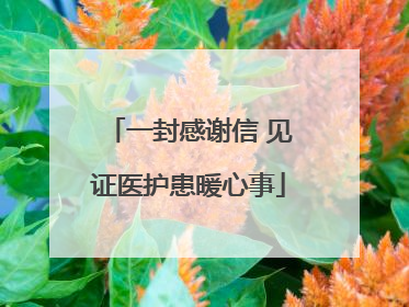 一封感谢信 见证医护患暖心事