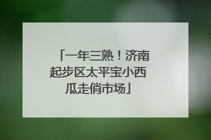 一年三熟！济南起步区太平宝小西瓜走俏市场