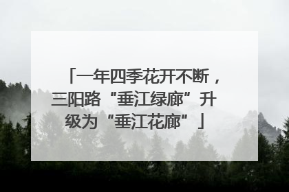 一年四季花开不断，三阳路“垂江绿廊”升级为“垂江花廊”