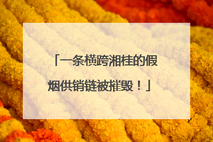 一条横跨湘桂的假烟供销链被摧毁！