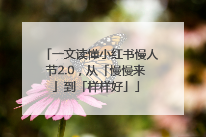 一文读懂小红书慢人节2.0，从「慢慢来」到「样样好」