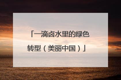 一滴卤水里的绿色转型（美丽中国）