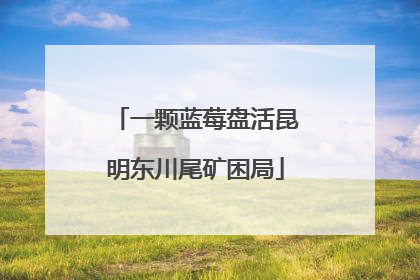 一颗蓝莓盘活昆明东川尾矿困局