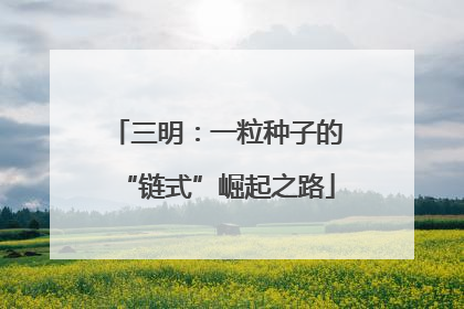 三明：一粒种子的“链式”崛起之路