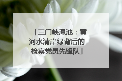 三门峡渑池：黄河水清岸绿背后的检察党员先锋队