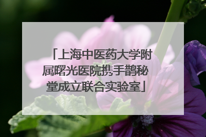 上海中医药大学附属曙光医院携手鹊秘堂成立联合实验室