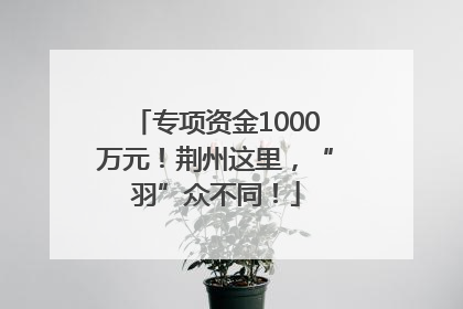 专项资金1000万元！荆州这里，“羽”众不同！