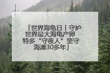 世界海龟日丨守护世界最大海龟产卵 特多“守夜人”坚守海滩30多年