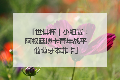 世俱杯｜小组赛：阿根廷博卡青年战平葡萄牙本菲卡