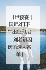 世预赛｜国足2日下午出征印尼，刘若钒因伤落选大名单