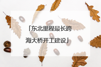 东北里程最长跨海大桥开工建设