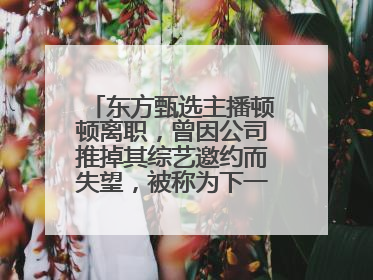 东方甄选主播顿顿离职，曾因公司推掉其综艺邀约而失望，被称为下一个董宇辉