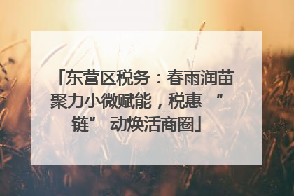 东营区税务：春雨润苗聚力小微赋能，税惠 “链” 动焕活商圈