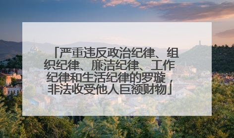 严重违反政治纪律、组织纪律、廉洁纪律、工作纪律和生活纪律的罗璇，非法收受他人巨额财物