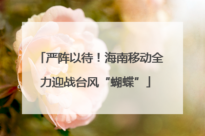 严阵以待！海南移动全力迎战台风“蝴蝶”