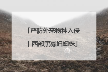 严防外来物种入侵｜西部黑寡妇蜘蛛