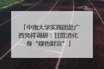 中南大学实践团赴广西凭祥调研：甘蔗渣化身“绿色财富”