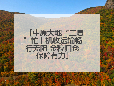 中原大地“三夏”忙丨机收运输畅行无阻 金粒归仓保障有力