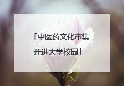 中医药文化市集开进大学校园