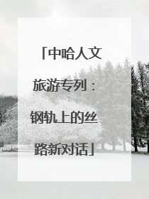 中哈人文旅游专列：钢轨上的丝路新对话