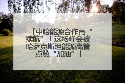 中哈能源合作再“续航”！这场峰会被哈萨克斯坦能源高管点赞“加油”