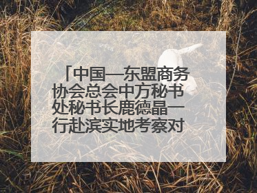 中国—东盟商务协会总会中方秘书处秘书长鹿德晶一行赴滨实地考察对接合作