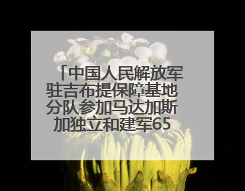 中国人民解放军驻吉布提保障基地分队参加马达加斯加独立和建军65周年阅兵活动