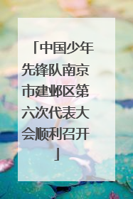 中国少年先锋队南京市建邺区第六次代表大会顺利召开