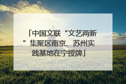 中国文联“文艺两新”集聚区南京、苏州实践基地在宁授牌