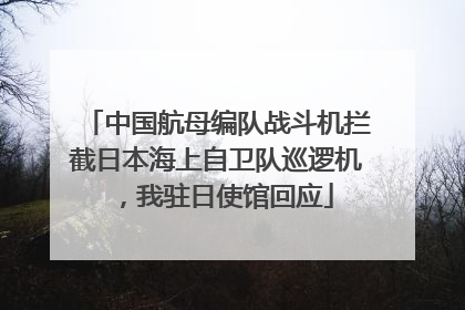中国航母编队战斗机拦截日本海上自卫队巡逻机，我驻日使馆回应