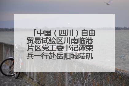中国（四川）自由贸易试验区川南临港片区党工委书记谭荣兵一行赴岳阳城陵矶综保区考察