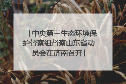 中央第三生态环境保护督察组督察山东省动员会在济南召开