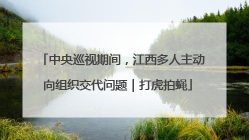 中央巡视期间，江西多人主动向组织交代问题｜打虎拍蝇