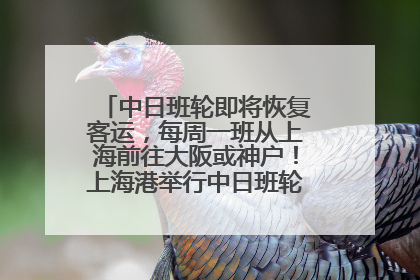 中日班轮即将恢复客运，每周一班从上海前往大阪或神户！上海港举行中日班轮船港联动应急演练