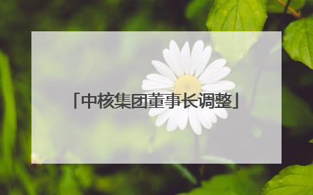 中核集团董事长调整