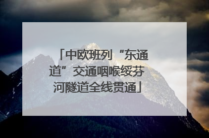 中欧班列“东通道”交通咽喉绥芬河隧道全线贯通