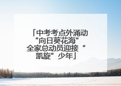 中考考点外涌动“向日葵花海” 全家总动员迎接“凯旋”少年