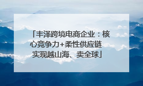 丰泽跨境电商企业：核心竞争力+柔性供应链 实现越山海、卖全球
