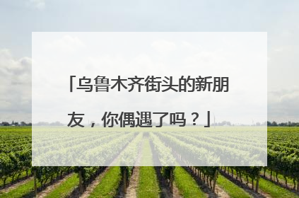 乌鲁木齐街头的新朋友，你偶遇了吗？