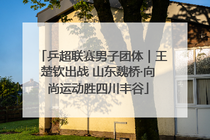 乒超联赛男子团体｜王楚钦出战 山东魏桥·向尚运动胜四川丰谷