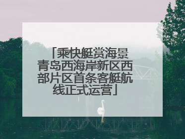 乘快艇赏海景 青岛西海岸新区西部片区首条客艇航线正式运营