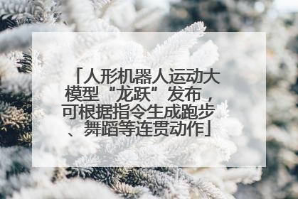 人形机器人运动大模型“龙跃”发布，可根据指令生成跑步、舞蹈等连贯动作